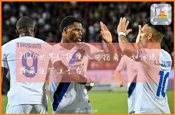 2026世界杯投注入口指南：如何选择最佳下注平台