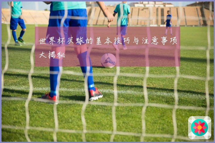 世界杯买球的基本技巧与注意事项大揭秘