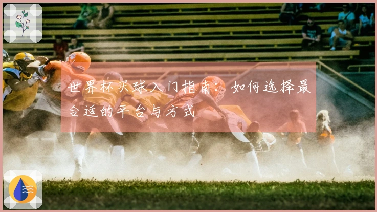 世界杯买球入门指南：如何选择最合适的平台与方式