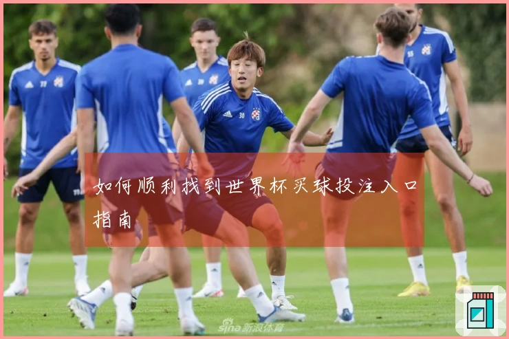 如何顺利找到世界杯买球投注入口指南