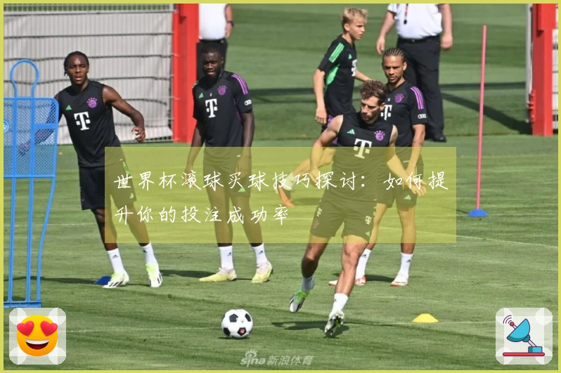 世界杯滚球买球技巧探讨：如何提升你的投注成功率