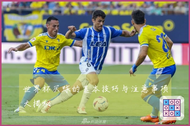 世界杯买球的基本技巧与注意事项大揭秘
