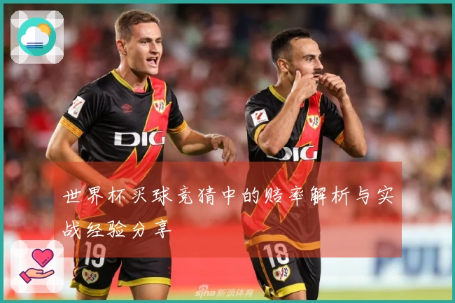 世界杯买球竞猜中的赔率解析与实战经验分享
