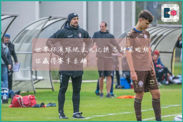 世界杯滚球玩法大比拼 各种策略助你赢得赛季乐趣