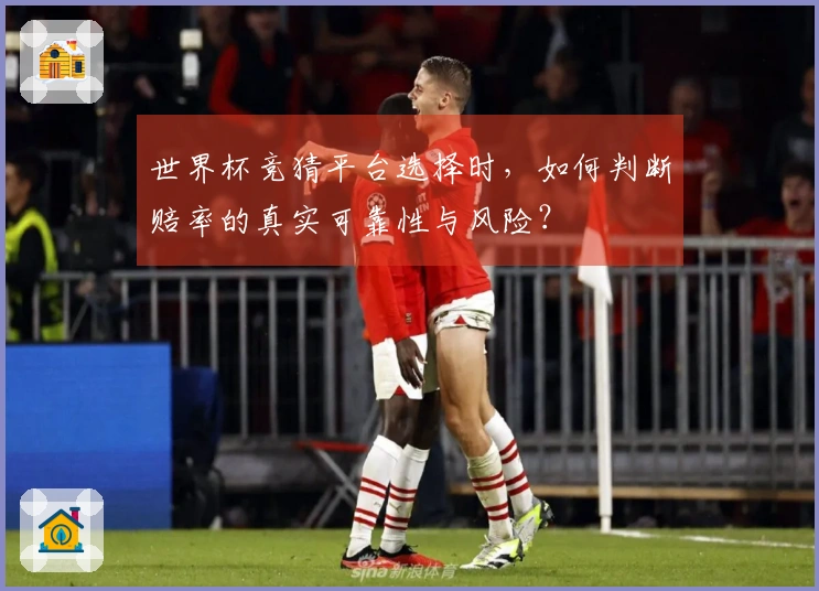 世界杯竞猜平台选择时，如何判断赔率的真实可靠性与风险？