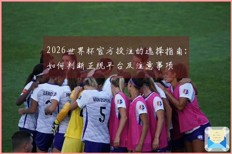 2026世界杯官方投注的选择指南：如何判断正规平台及注意事项