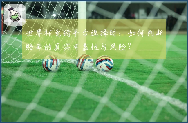 世界杯竞猜平台选择时，如何判断赔率的真实可靠性与风险？