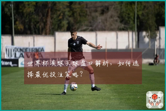 世界杯滚球买球盘口解析，如何选择最优投注策略？